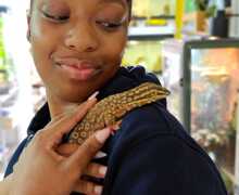 Original 0A28E439 43BC 4C09 9B70 DF574BEEBA4A