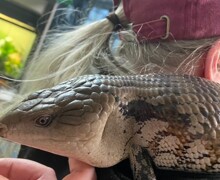 Original 23FBBE8B BBD6 491C 830C A7B526A8A231