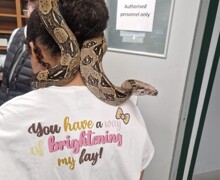 Original 8071196B 3E38 46E5 8EE4 F6D674AF80BE