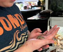 Processed 4EB61AC7 F53F 4181 9A0E 3AAEF2DFDCE2