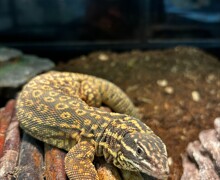 Processed 581F2987 2D36 49C7 AD26 6B6ABF68E450