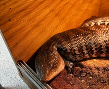 Processed E119732A 6C57 4765 A5E3 652E76E8EFF6