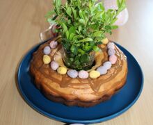 IMG 4779