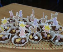 IMG 4787