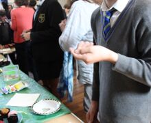 IMG 4810