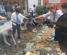 41733c25 1d12 413f 8ecc 735d17db959d