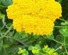 IMG 20250711 WA0033