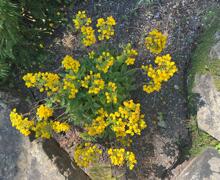 IMG 20250711 WA0026