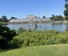 IMG 6532