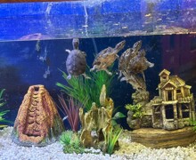 3f4bcd4d dc0a 4798 94af 97cef663bf1a