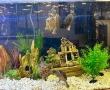 24e9eb1a 5147 43c3 a559 f6764ca552d8