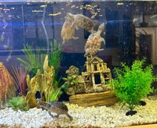 37dc8922 c21d 4b55 9028 7ac1ac387508