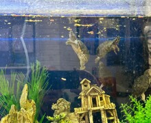 D5c0bd3c cf50 4199 adb8 dacf986b5aa6