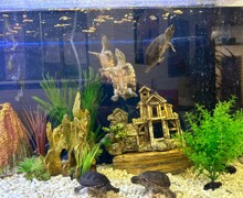 D00565f7 fd44 41eb a3d4 1b003e9a5a4e