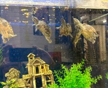 Fd06eba1 2fbf 4722 9262 9e95e1f39f4f