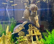 Ff8d48ac 389a 44da 9052 550937bd6be5